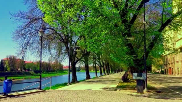 Тихі Танці — Вечірка в ALIVE, Ужгород, 5 травня 2024 року